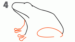 青蛙24