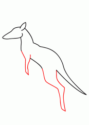 袋鼠25
