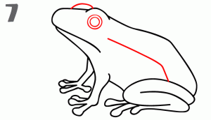 青蛙27