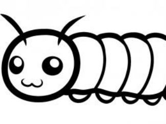 毛毛虫2