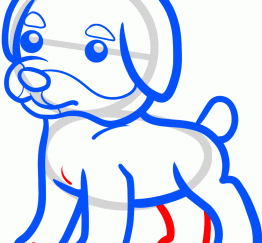 小猎犬仔6