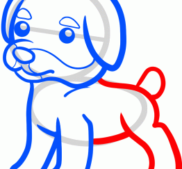 小猎犬仔5