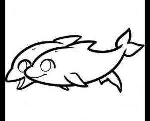 海豚38