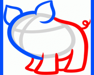 猪34