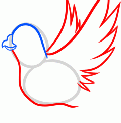 鸽子32