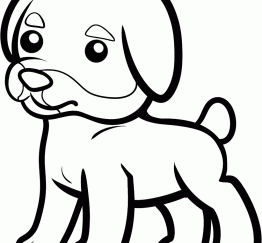 小猎犬仔7