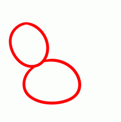 鸽子31