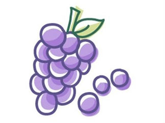 葡萄3