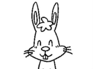 兔子11