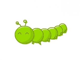 毛毛虫45
