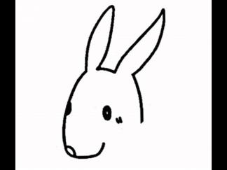 兔子102