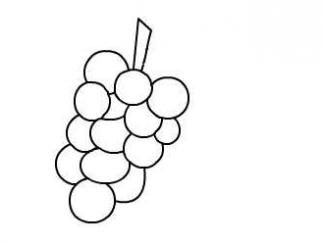 葡萄33