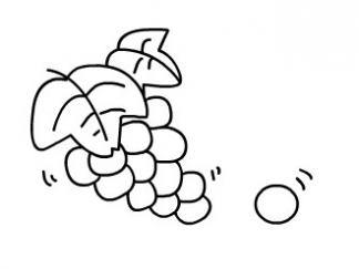 葡萄46