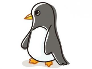 企鹅66