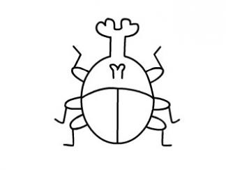 甲壳虫7