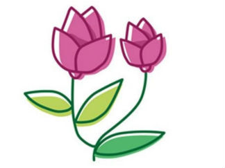 小红花