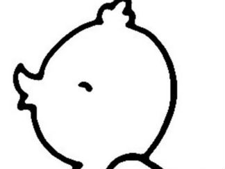 鸭子8