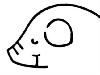小猪2