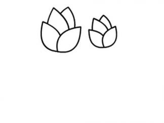 小红花3
