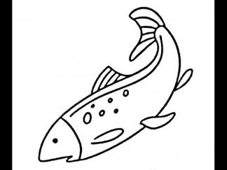 小鱼23