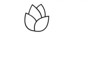 小红花2