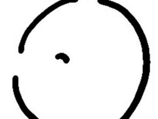 鸭子81