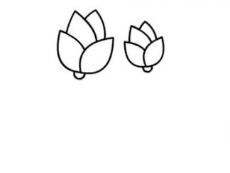 小红花4