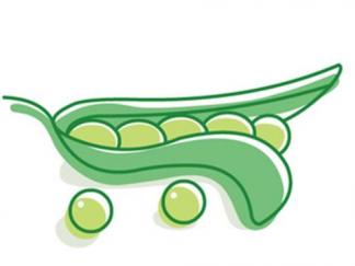 豆荚5