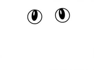 青蛙91