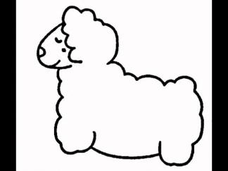 绵羊23