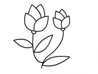 小红花6