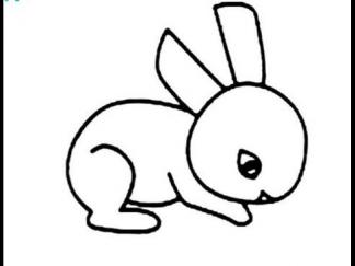 小兔子5
