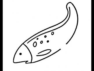 小鱼22