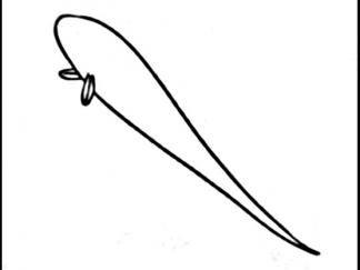 小鱼52
