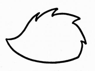 刺猬51