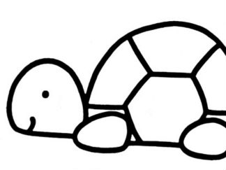 乌龟7