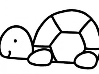 乌龟74