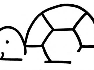 乌龟72