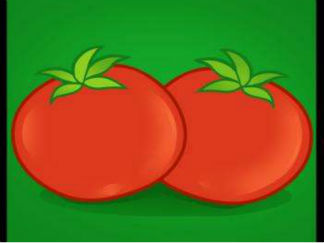 西红柿2