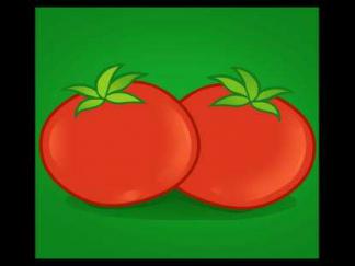 西红柿24