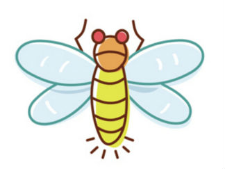 蜜蜂5