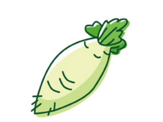白萝卜