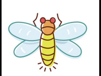蜜蜂57