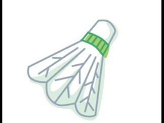 羽毛球6