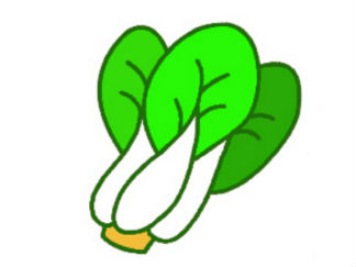 大白菜3