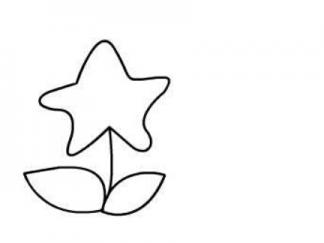 星星花朵2