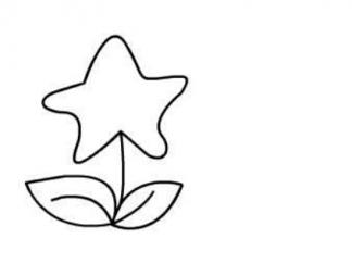 星星花朵3