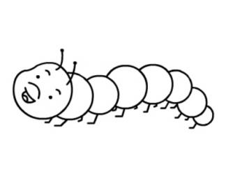 毛毛虫56