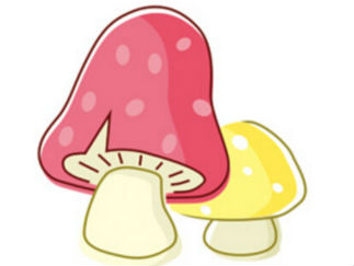蘑菇9