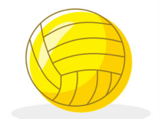 排球2